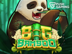 Big dollar casino $100 free chip 202359